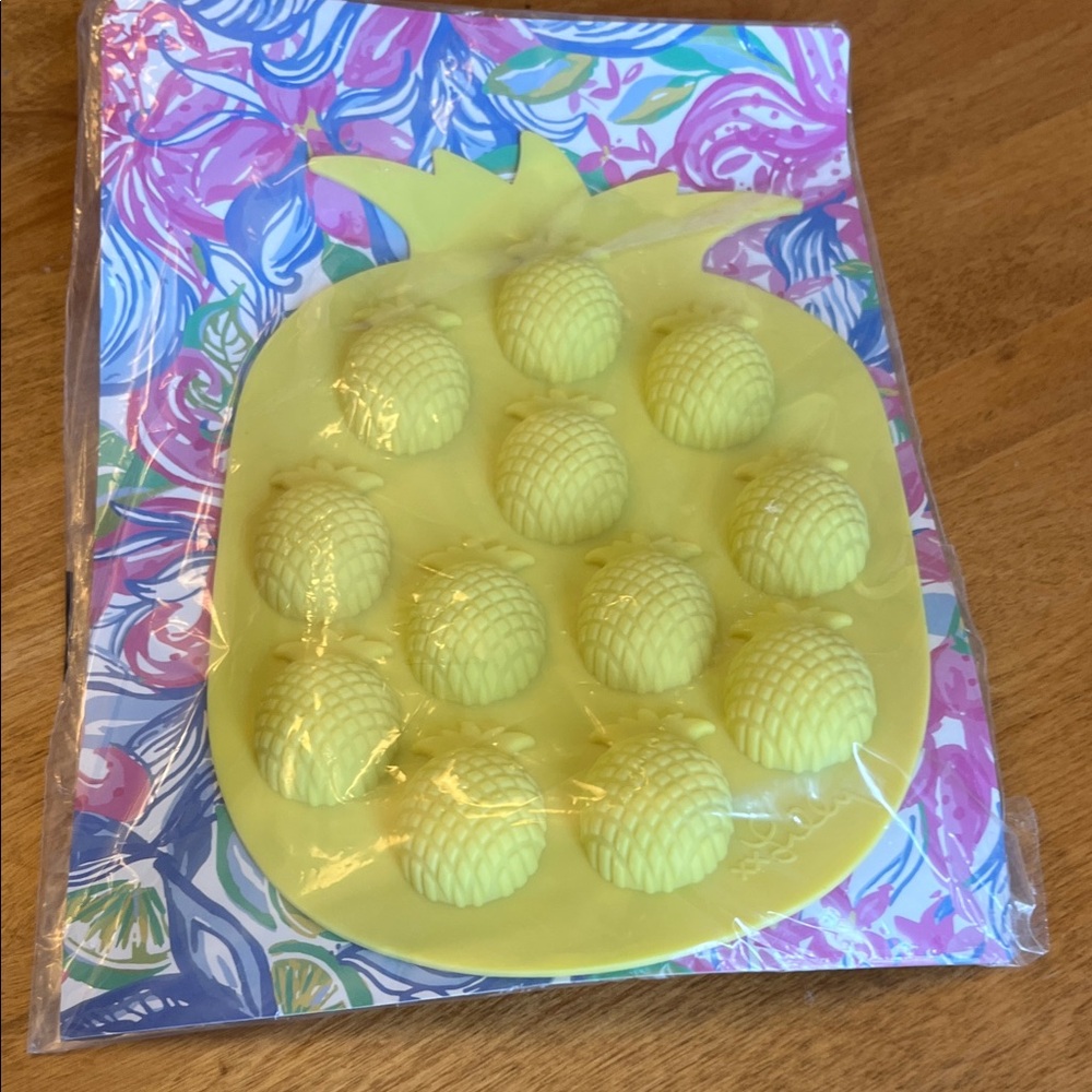Party item ice cube mold